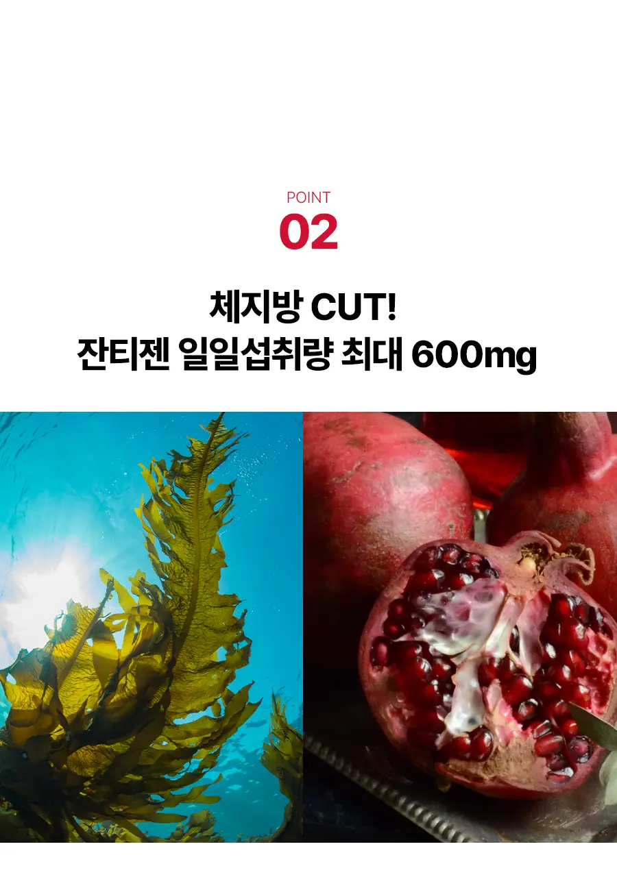 [서현PICK] 콜레올로지 버닝올로지 디데이 3.8g*5포 (5일분) 상세페이지 23